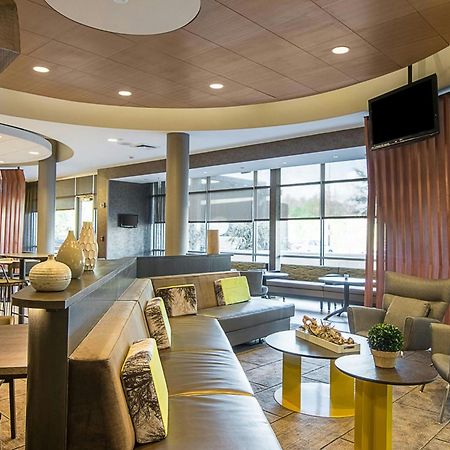 Springhill Suites Tampa North/Tampa Palms מראה חיצוני תמונה