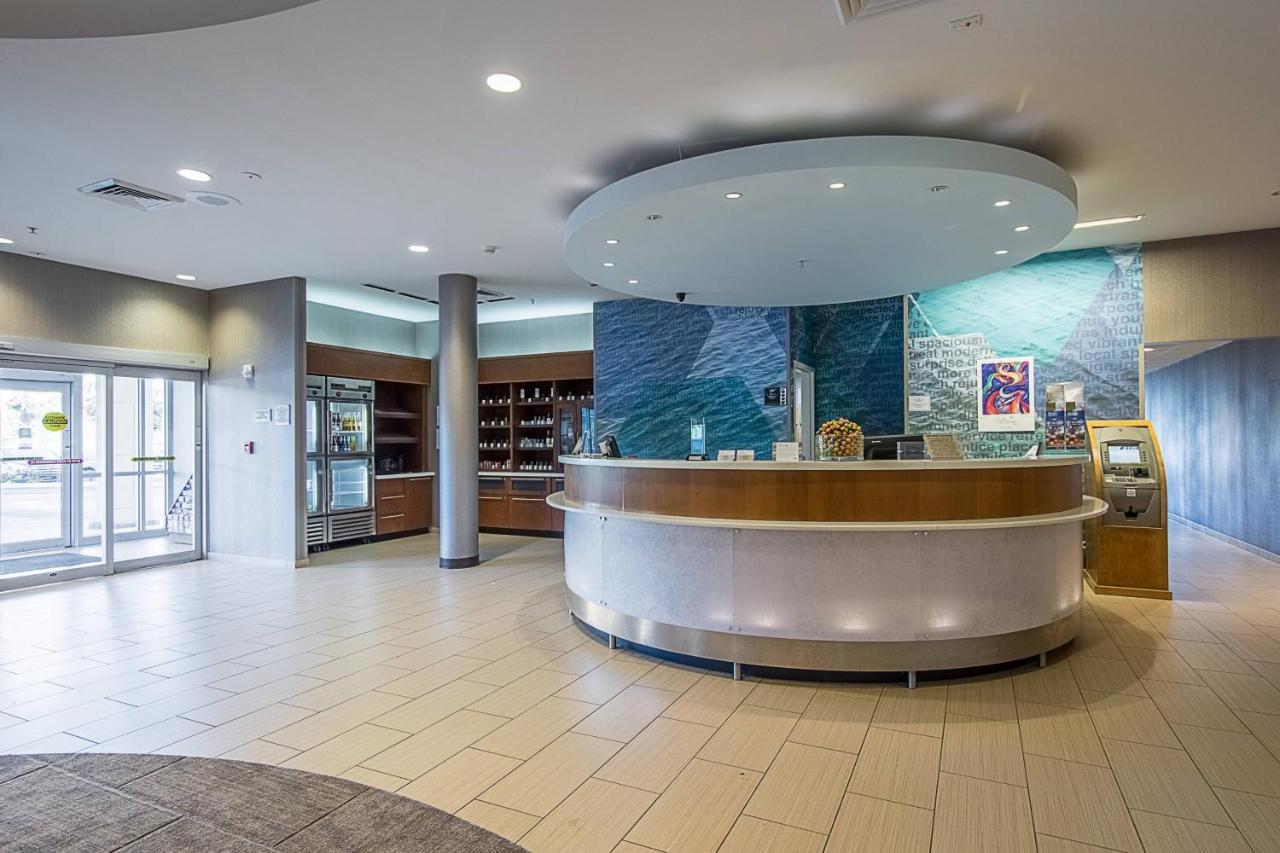 Springhill Suites Tampa North/Tampa Palms מראה חיצוני תמונה