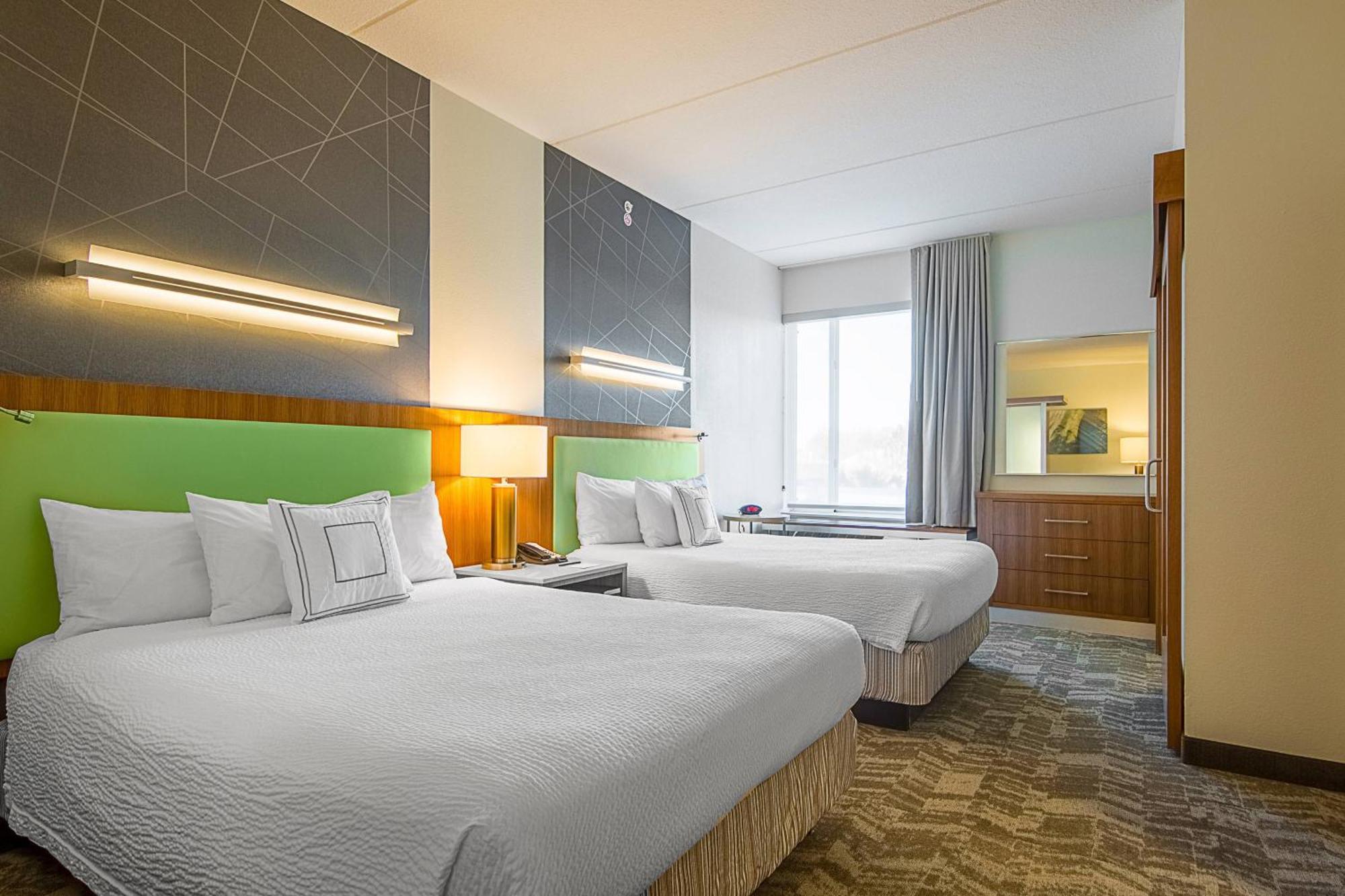 Springhill Suites Tampa North/Tampa Palms מראה חיצוני תמונה