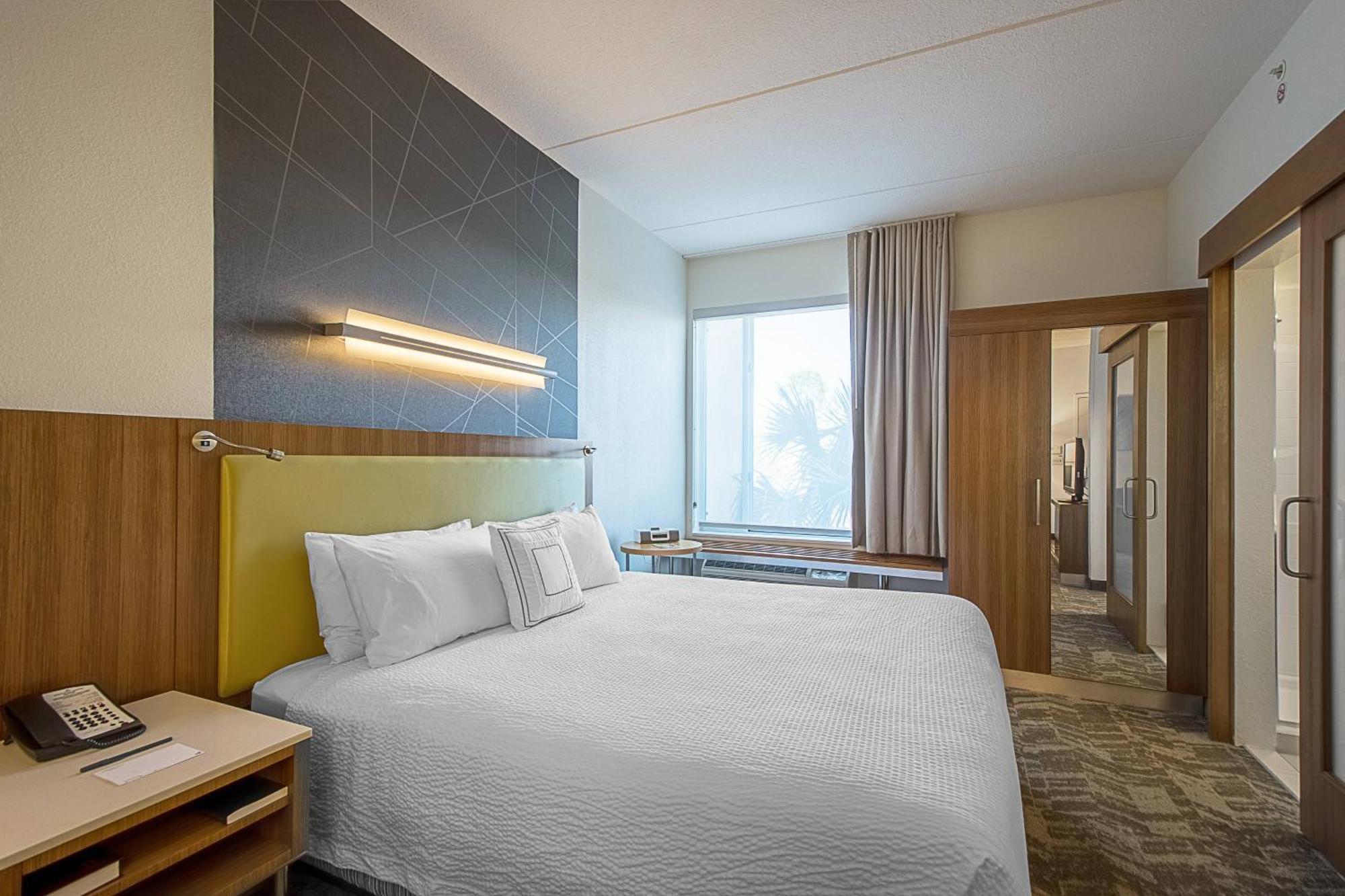 Springhill Suites Tampa North/Tampa Palms מראה חיצוני תמונה