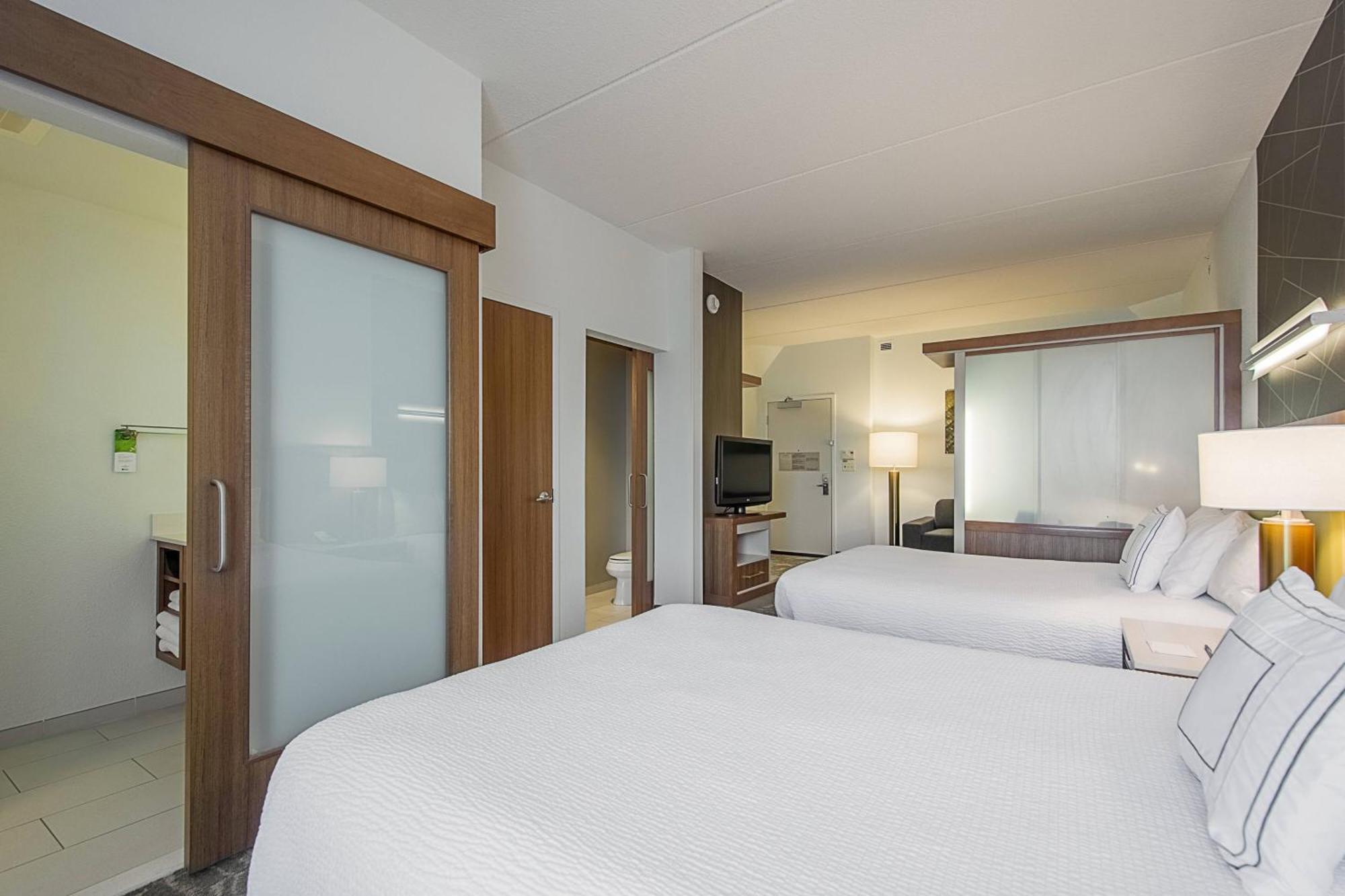 Springhill Suites Tampa North/Tampa Palms מראה חיצוני תמונה