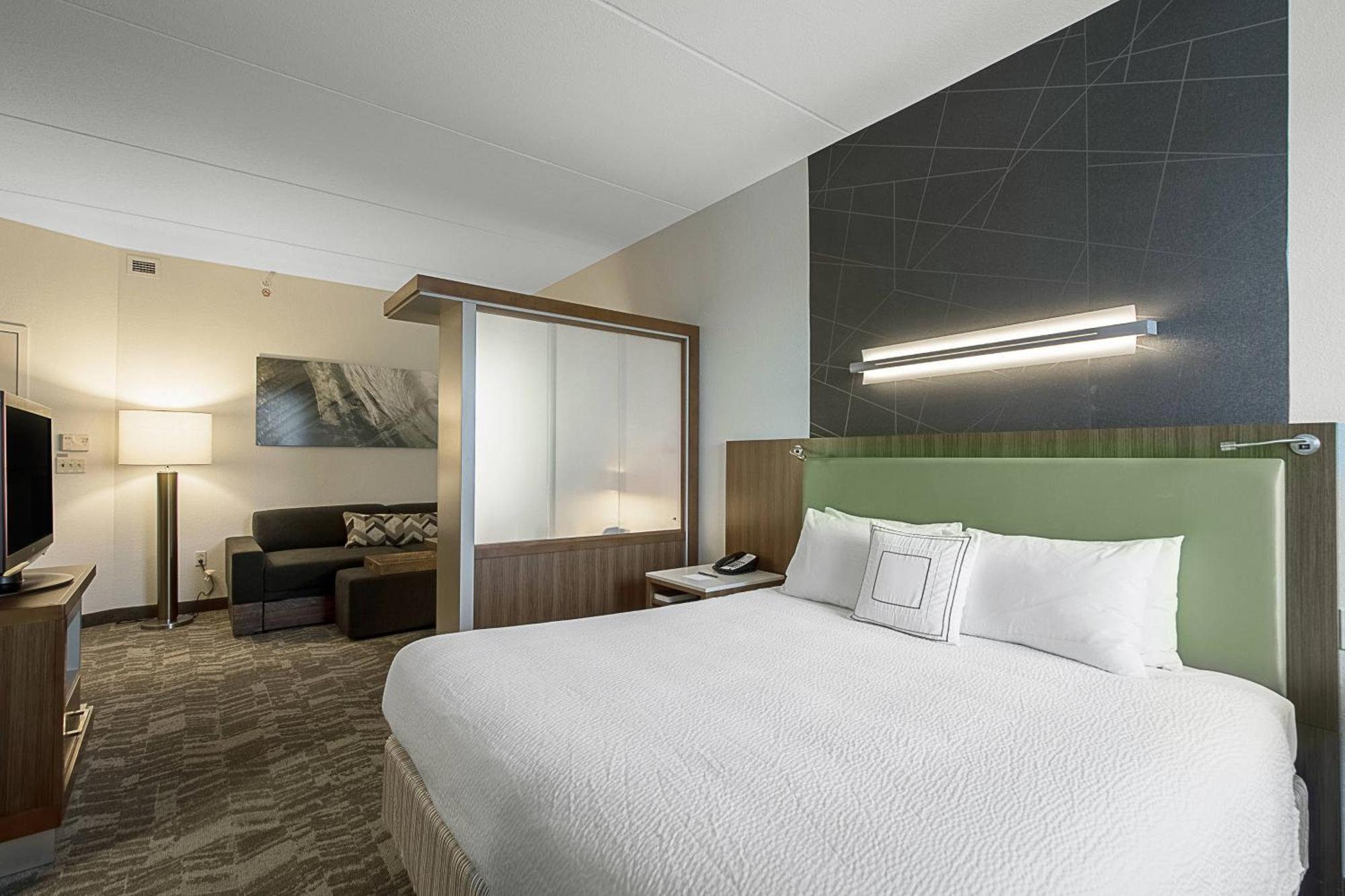 Springhill Suites Tampa North/Tampa Palms מראה חיצוני תמונה