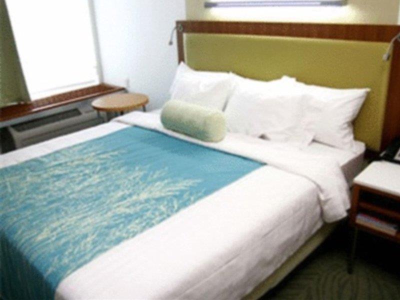 Springhill Suites Tampa North/Tampa Palms מראה חיצוני תמונה