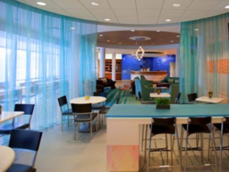 Springhill Suites Tampa North/Tampa Palms מראה חיצוני תמונה