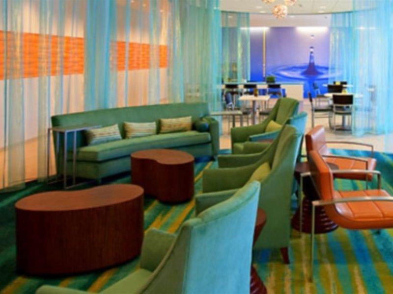 Springhill Suites Tampa North/Tampa Palms מראה חיצוני תמונה