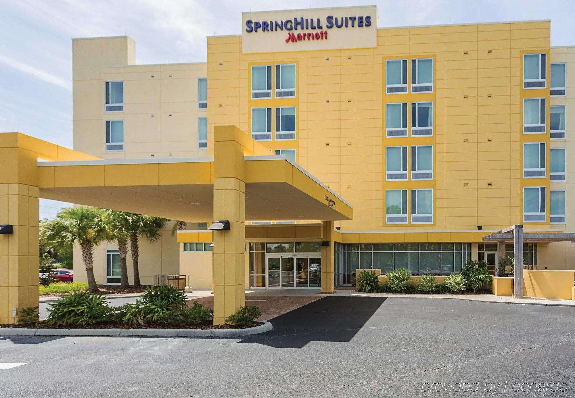 Springhill Suites Tampa North/Tampa Palms מראה חיצוני תמונה