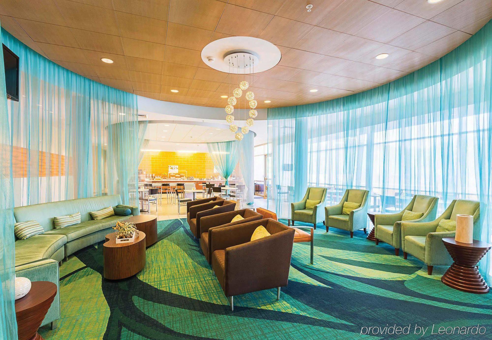 Springhill Suites Tampa North/Tampa Palms מראה חיצוני תמונה