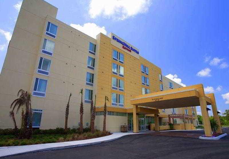 Springhill Suites Tampa North/Tampa Palms מראה חיצוני תמונה
